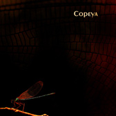 Copeya - Nymph